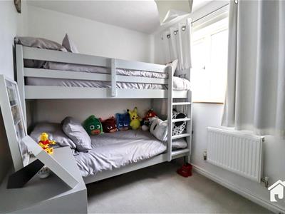 Picture 19